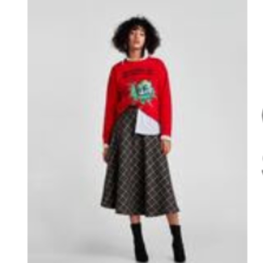 NWOT Zara skirt